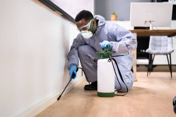 Best Residential Pest Control  in Elmont, NY